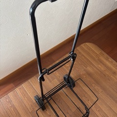 キャリアーの画像