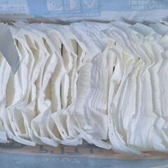 開封済　大人用おむつ　クレシア　アクティ　Vパッド200　その2の画像