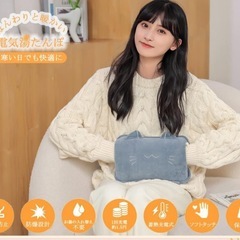 湯たんぽ 充電式 ゆたんぽ 蓄熱式 充電湯たんぽ 癒しの保護ね こカバー付き 急速充電 コードレス あったかの画像