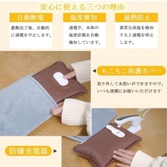 湯たんぽ 充電式 ゆたんぽ 蓄熱式 充電湯たんぽ 癒しの保護ね こカバー付き 急速充電 コードレス あったかの画像