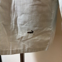 クロコダイル　ストライプ柄 長袖シャツ 薄緑の画像