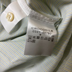 クロコダイル　ストライプ柄 長袖シャツ 薄緑の画像