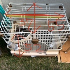 ウサギ小屋の画像