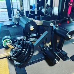 GFC自立型レッグストレングスの画像