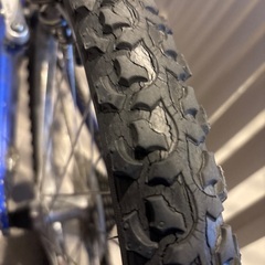 ルイガノの子供用自転車の画像