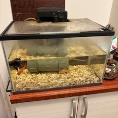 水槽セットの画像