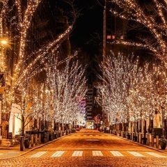 イルミネーション巡り