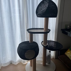キャットタワーの画像