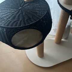 キャットタワーの画像