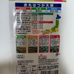 ラディッシュ　種の画像