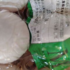 玉子Mサイズの画像