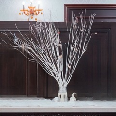 【結婚式】ウェルカムツリーの画像