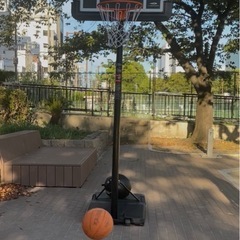 TIGORA (ティゴラ) バスケットゴールの画像