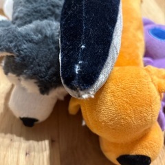 ペット用おもちゃセットの画像