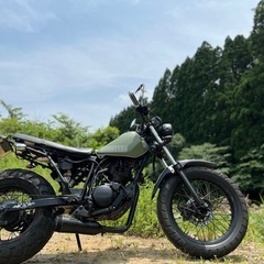 【即日持って帰れます】YAMAHA TW225 実動・カスタムベースにも◎ の画像