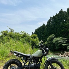 【即日持って帰れます】YAMAHA TW225 実動・カスタムベースにも◎ の画像