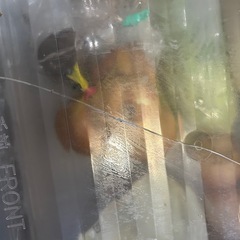 パナソニックパーシャル搭載冷蔵庫の画像