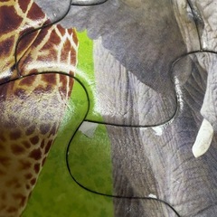 2セット　動物、すいぞくかん　パズル　　　　　　の画像