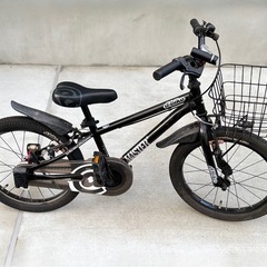 d-bike 18インチの画像