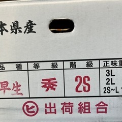 熊本県産早生みかん1箱10kgの画像