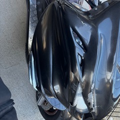 マジェスティの画像