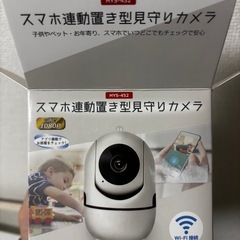 見守りカメラの画像