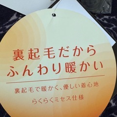 レディースＬサイズ①の画像