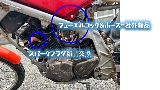 TLR250R「見た目で名前を書いていますが違ったらすみません」「実働」「整備済み」「書類無し」「ナンバー無し」「ノークレーム・ノーリターン」 TLR250R「見た目で名前を書いていますが違ったらすみません」「実働