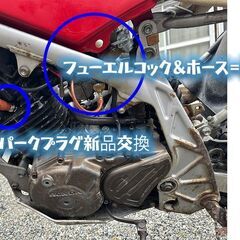TLR250R「見た目で名前を書いていますが違ったらすみません」「実働」「整備済み」「書類無し」「ナンバー無し」「ノークレーム・ノーリターン」の画像