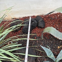 ラバロック　7個　溶岩石の画像