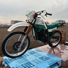 Yamaha セロー　225 オフロード　エンジン実働の画像