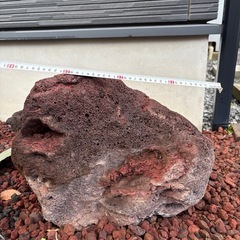 ラバロック　大2個の画像