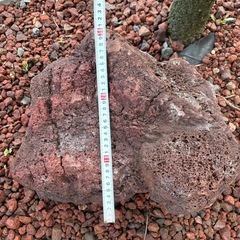 ラバロック　大2個の画像