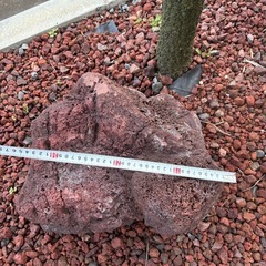 ラバロック　大2個の画像