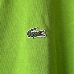 ラコステTシャツの画像