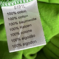 ラコステTシャツの画像