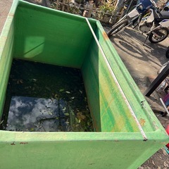 生簀、水槽の画像