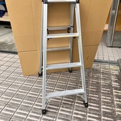 Hasegawa   脚軽　130 RZ2.0 -12　の画像