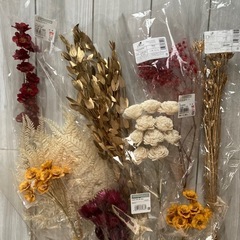 プリザーブドフラワー まとめ売り　詰合せ　ドライフラワー　①の画像