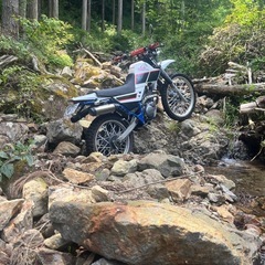 YAMAHAセロー225の画像