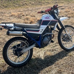 YAMAHAセロー225の画像