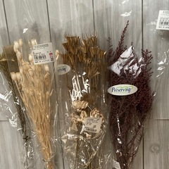 プリザーブドフラワー まとめ売り　詰合せ　ドライフラワー　②の画像