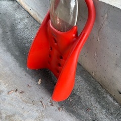 ビート板の画像