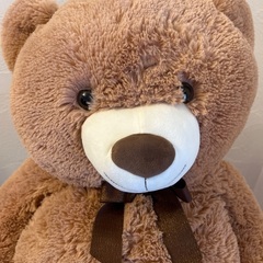Big Bear 大きなぬいぐるみ🧸の画像
