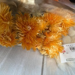 プリザーブドフラワー まとめ売り　詰合せ　ドライフラワー　③の画像