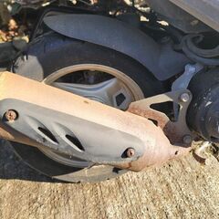 ライブディオ　放置車　AF34　AF35の画像