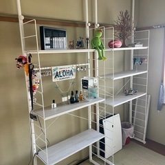 ニトリ Nポルダシリーズ2つセットの画像