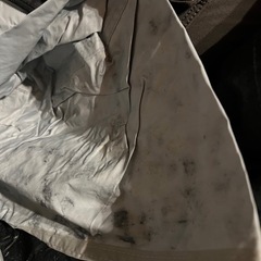 大人気!コールマン（Coleman） テント タフスクリーン 2ルームエアー DARKROOM サイズ LDX+の画像