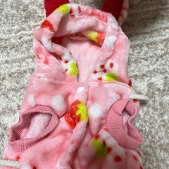 犬服 いちご柄の画像