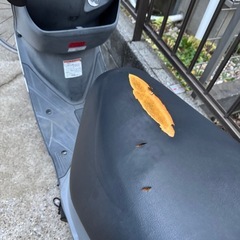 スズキアドレスV125Gの画像